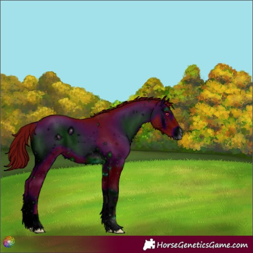 Horse Color:ERROR: UNKNOWN ANOMALY