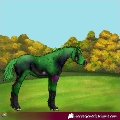 Horse Color:ERROR: UNKNOWN ANOMALY