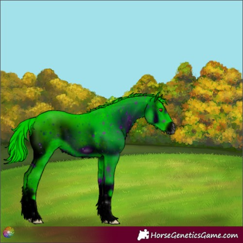 Horse Color:ERROR: UNKNOWN ANOMALY
