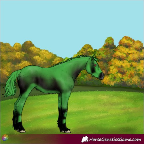Horse Color:ERROR: UNKNOWN ANOMALY