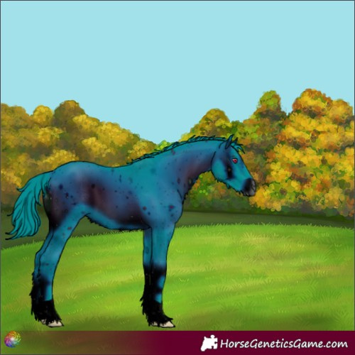 Horse Color:ERROR: UNKNOWN ANOMALY