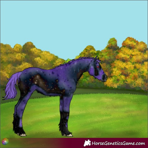 Horse Color:ERROR: UNKNOWN ANOMALY