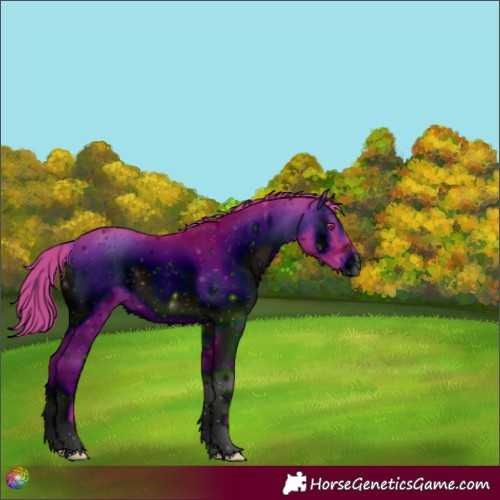Horse Color:ERROR: UNKNOWN ANOMALY