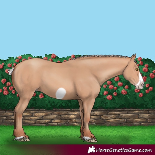 Horse Color:Silver Amber Champagne Frame 