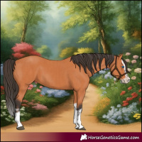 Horse Color:Bay Splash Frame and Bay Splash