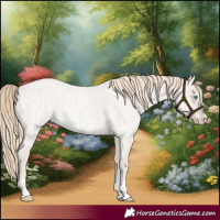 Horse Color:Smoky Creme Roan Sabino Splash and Smoky Creme Roan Dun Sabino Splash