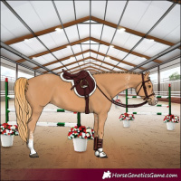 Horse Color:Chestnut Sabino