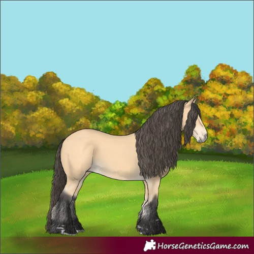 Horse Color:Buckskin 