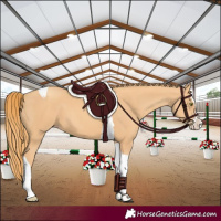 Horse Color:Gold Champagne Splash Tobiano 