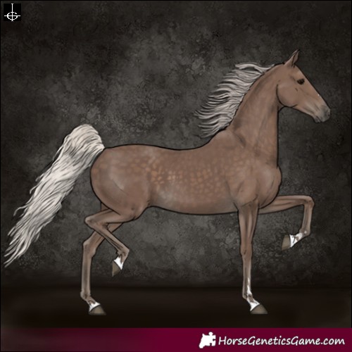 Horse Color:Silver Black 