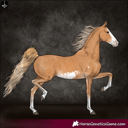Horse Color:Chestnut Splash Frame  and Chestnut Splash Frame 