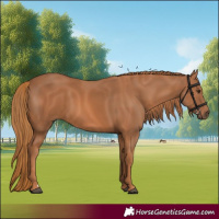 Horse Color:Chestnut 