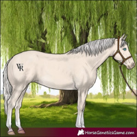 Horse Color:Cremello Tobiano