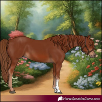 Horse Color:Chestnut Sabino 
