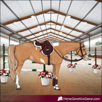 Horse Color:Chestnut Splash Tobiano