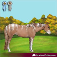Horse Color:Powder White Black Pearl 