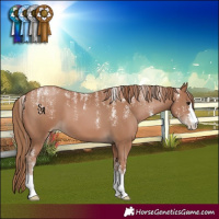 Horse Color:Powder White Black Pearl 
