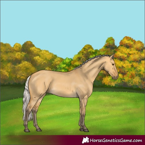 Horse Color:Silver Buckskin Dun 