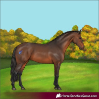 Horse Color:Brown 