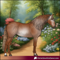 Horse Color:Gray Chestnut 