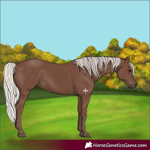 Horse Color:Silver Black 