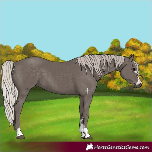 Horse Color:Silver Black 