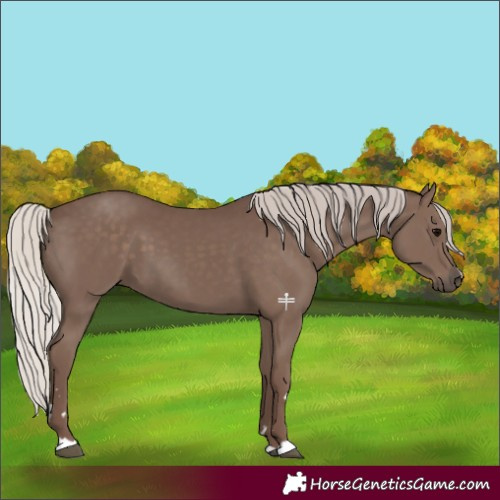 Horse Color:Silver Black 