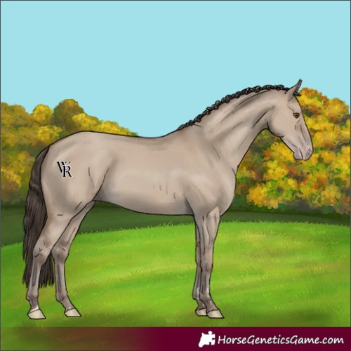 Horse Color:Classic Champagne Dun 