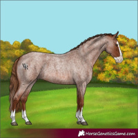 Horse Color:Red Roan Splash 