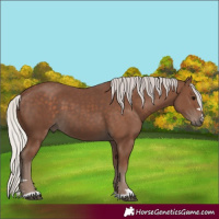 Horse Color:Silver Black 
