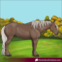 Horse Color:Silver Black 