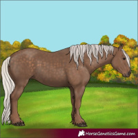 Horse Color:Silver Black 