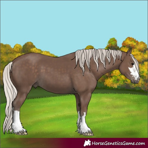 Horse Color:Silver Black 