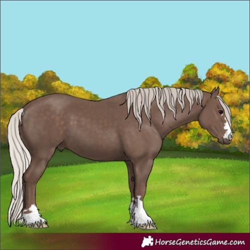Horse Color:Silver Black 