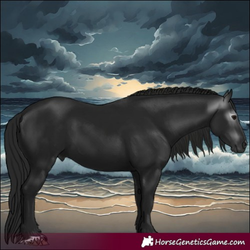 Horse Color:Gray Black 