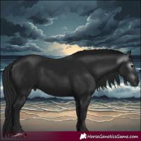 Horse Color:Gray Black 
