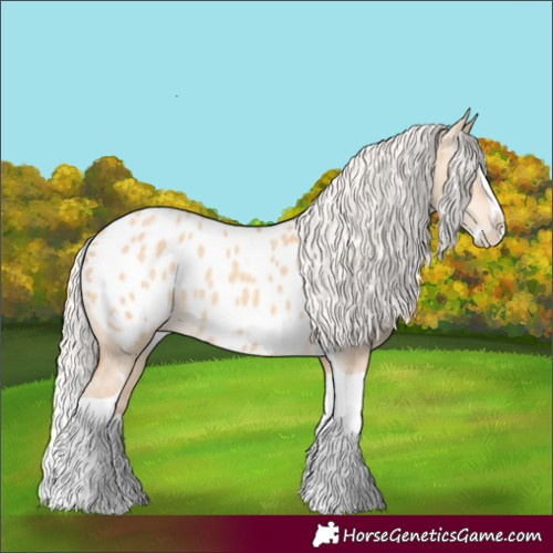 Horse Color:Silver Amber Champagne Dun Splash Tobiano Appaloosa Rabicano 