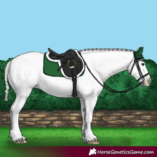 Horse Color:Silver Brown Sabino 