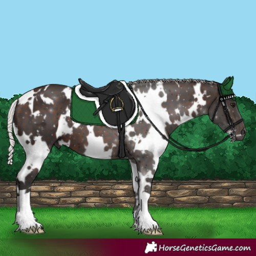 Horse Color:White Spotted Silver Brown 