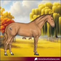 Horse Color:Chestnut Rabicano 