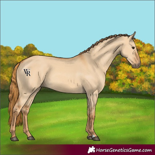 Horse Color:Red Dun