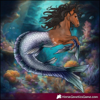 Horse Color:Bay Sabino 