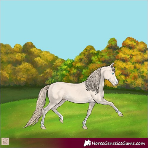 Horse Color:Perlino 