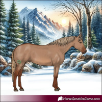 Horse Color:Red Dun