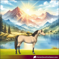 Horse Color:Buckskin 