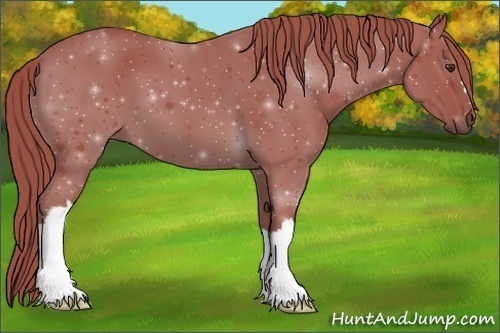 Horse Color:Watercolor Liver Chestnut 