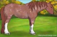 Horse Color:Watercolor Liver Chestnut 