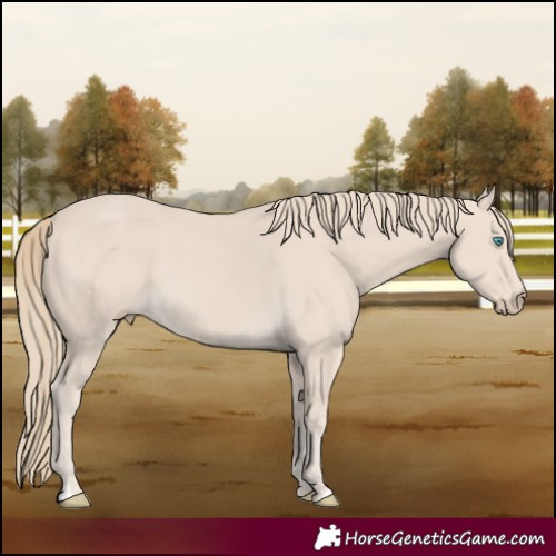 Horse Color:Smoky Creme 