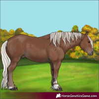 Horse Color:Silver Black 