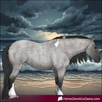 Horse Color:Grullo Roan Tobiano Rabicano 